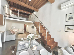 Loft Especeria centro